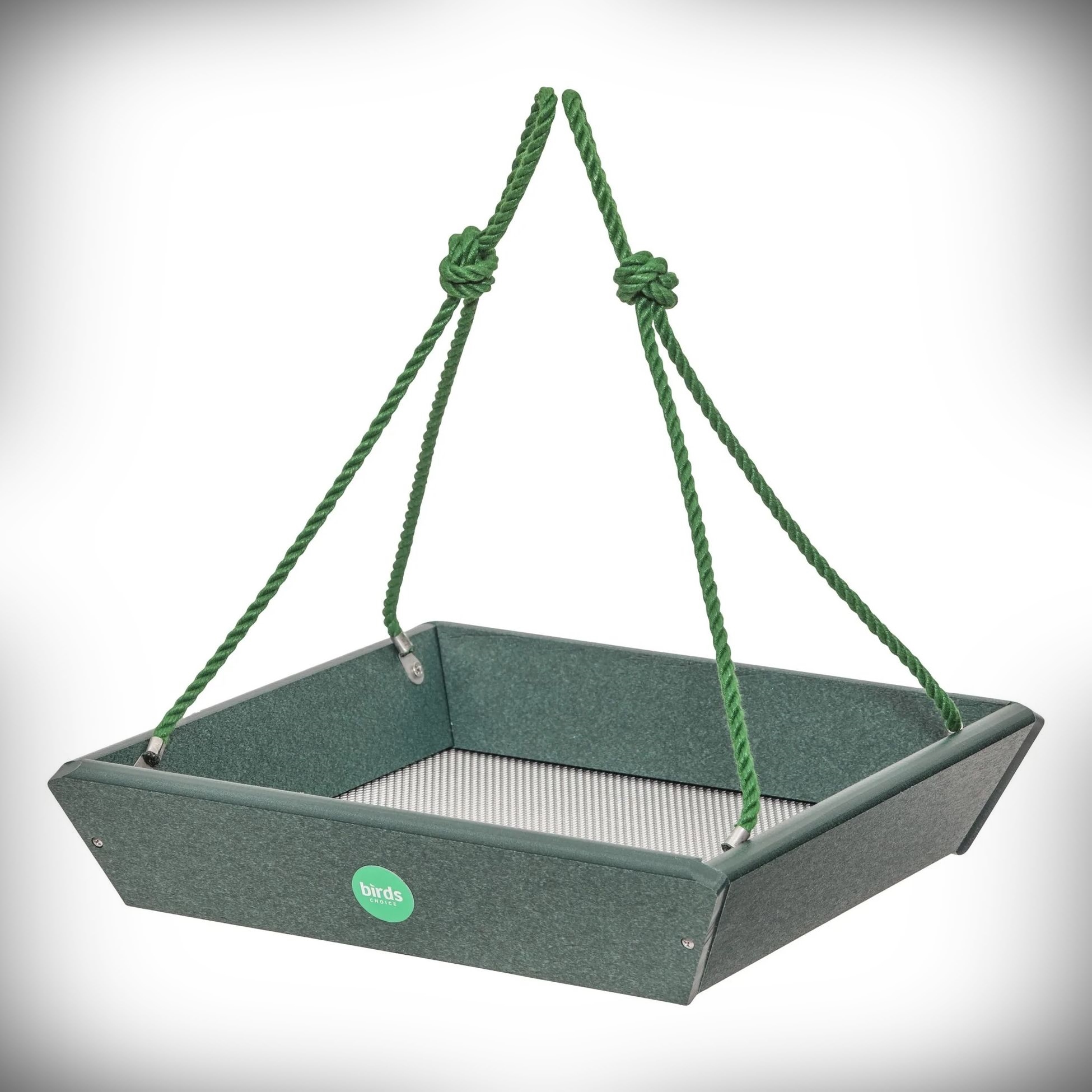 Color Pop Recycled Plastic Tray Feeder Evergreen