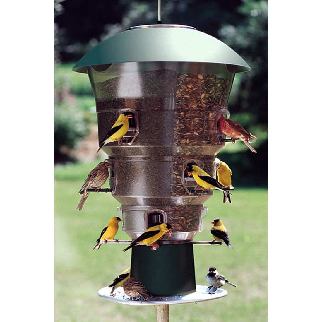 Wild Bills Squirrel-Free Bird Feeder 12 Port