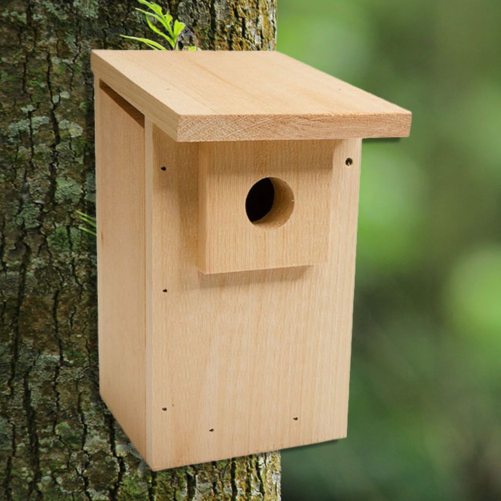 Conservation Economy Western Bluebird Trail Box