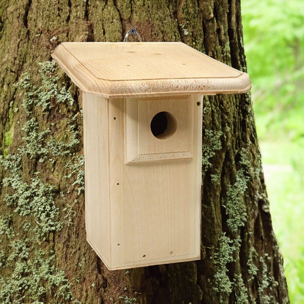 Conservation Eastern Bluebird House w/Large Roof