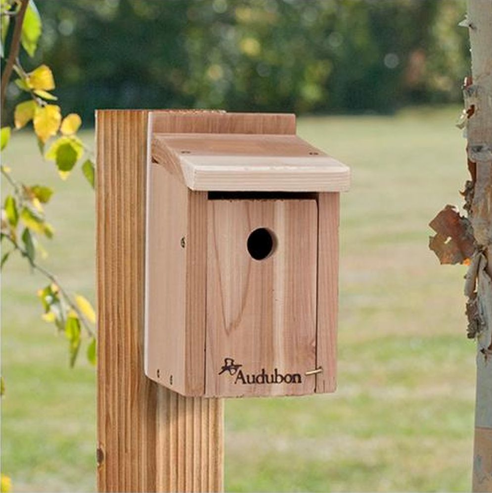 Audubon Cedar Wren/Chickadee House