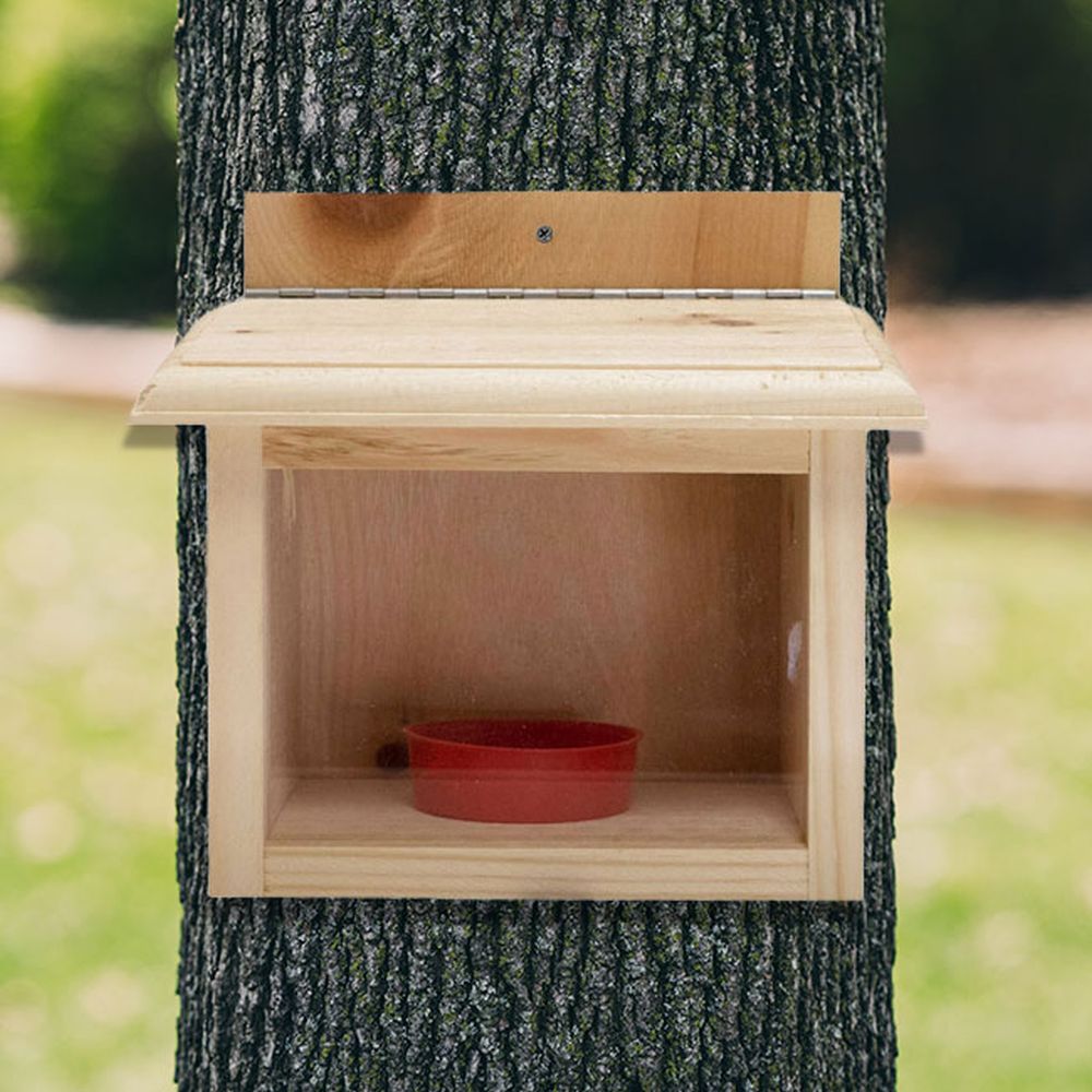 Conservation Deluxe Post Mount Bluebird Feeder