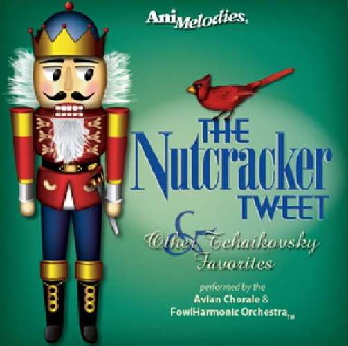 The Oracle | What is “The Nutcracker”?