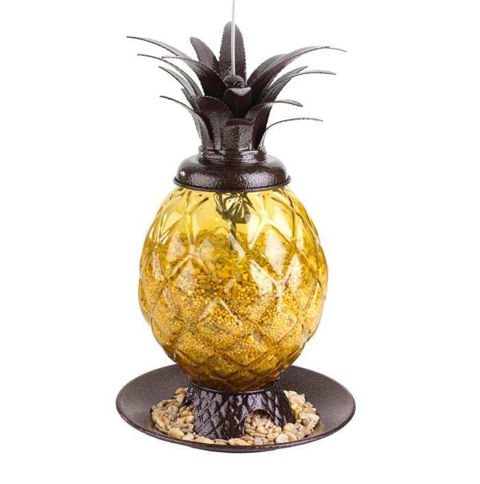 pineapple bird feeder