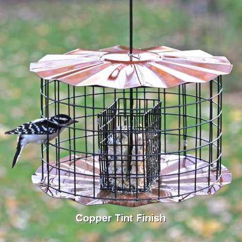 Barrier Guard Caged Double Cake Suet Feeder