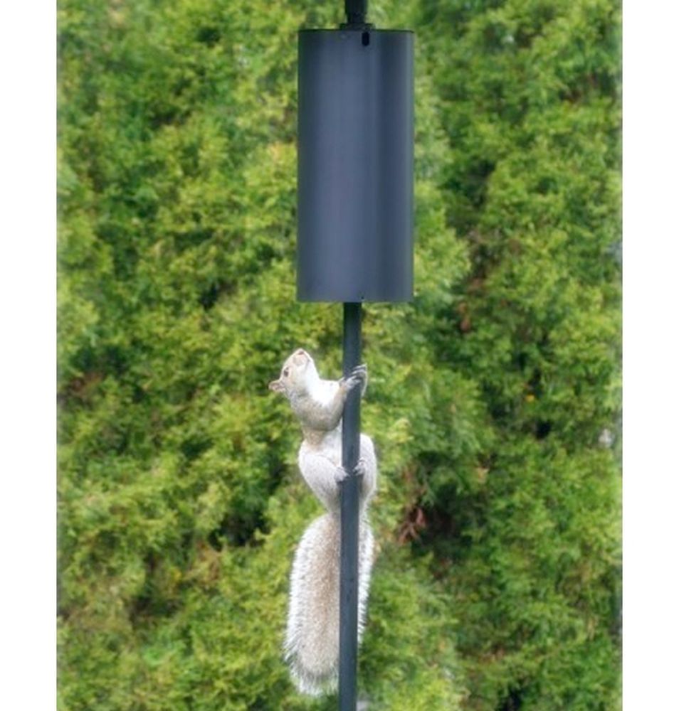 Pole Mount Raccoon Baffle