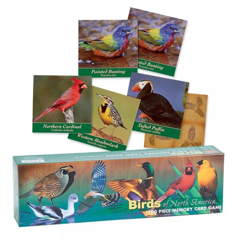 for bird lovers bird games