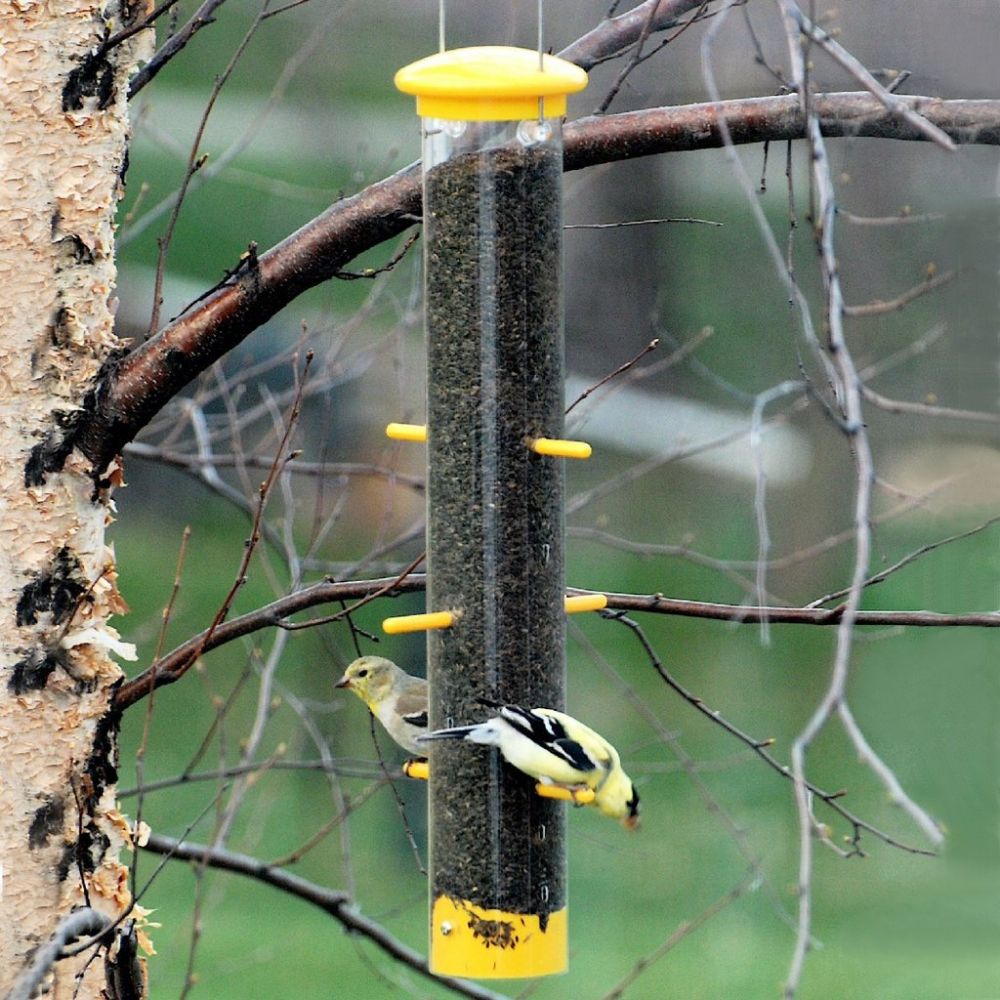 Audubon Bottoms Up Finch Feeder Set of 2