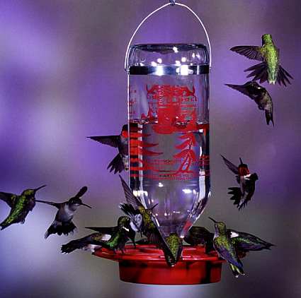 Best-1 32 oz Hummingbird Feeder