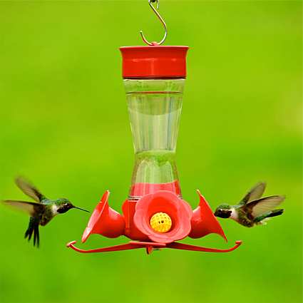 Four Flower Fountain Hummingbird Feeder 2/Pack