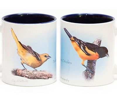 Baltimore Orioles Coffee Mug Set of 2