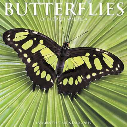 Bird Books Amp Field Guides Bird Identification Guides For