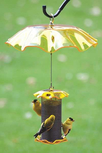 forever 1 qt yellow finch feeder w yellow weather guard forever 1 qt yellow finch feeder w yellow weather guard