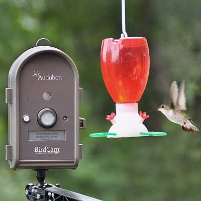 Wingscapes BirdCam