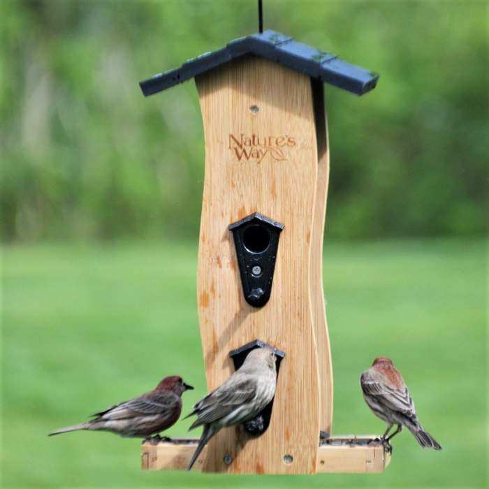 Sunflower Bird Feeders Mixed Seed Bird Feeders Decorative And