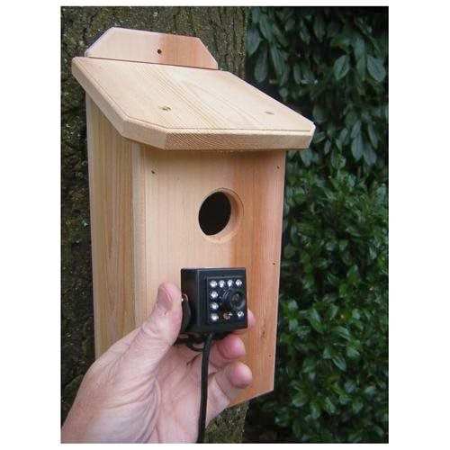 bird feeder camera wifi