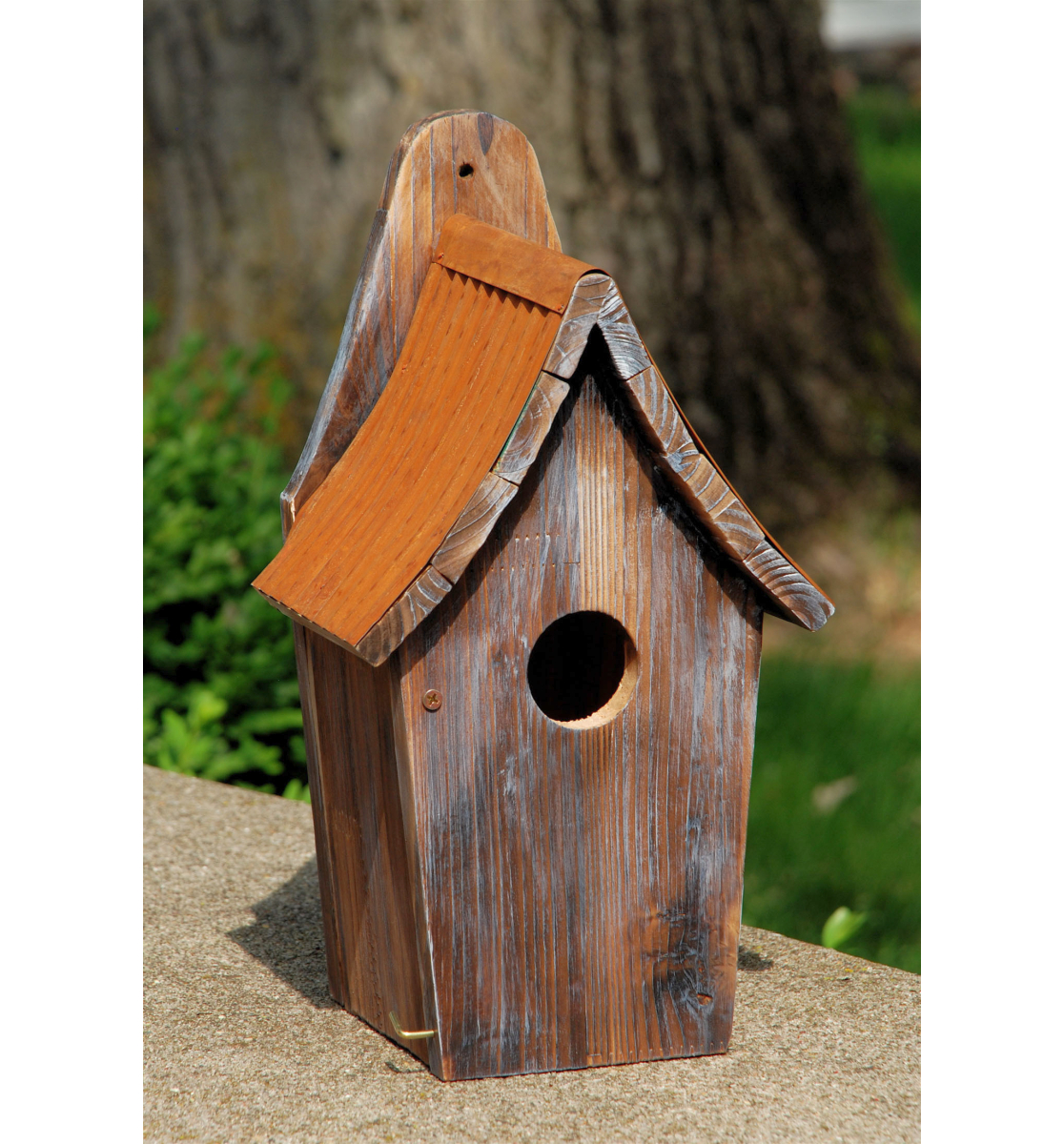 national-audubon-society-bird-house-plans-here-sania-twain