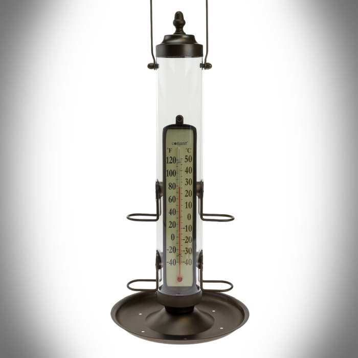 AcuRite Plastic Dial Songbird Indoor/Outdoor Thermometer