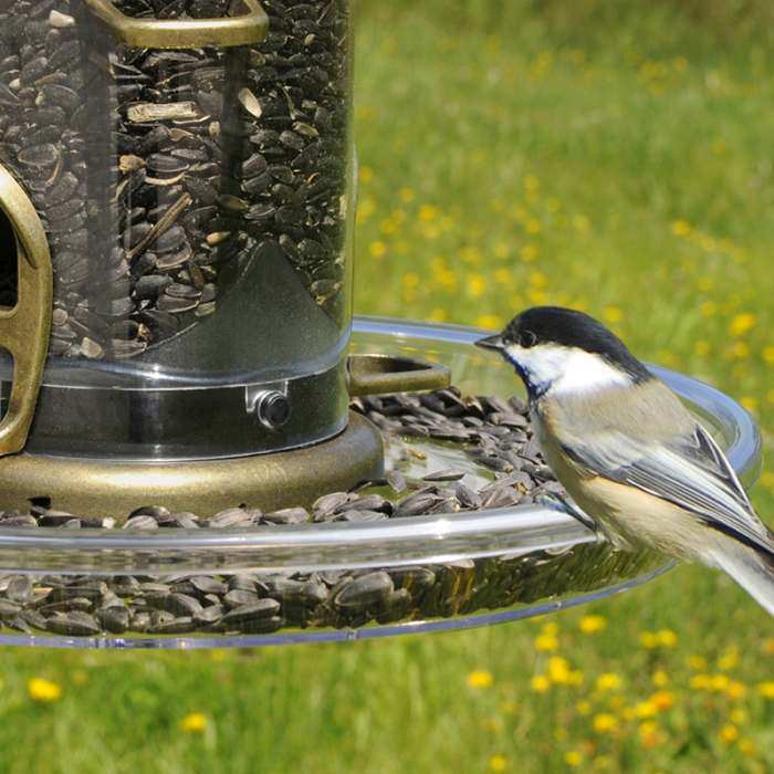 Seed Bird Seed Catcher For Bird Feeders pranovo Bird Seed Catcher Tray Pl.....