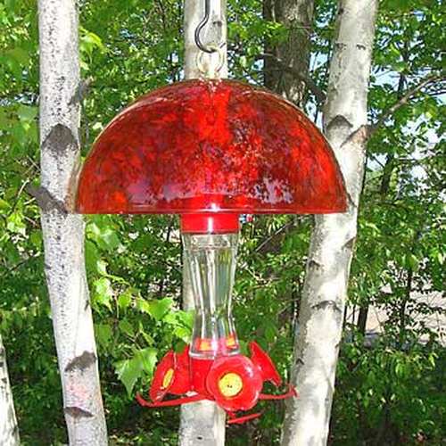 Bird Feeder Weather Domes Weather Protection For Hanging Bird Feeders Bird Feeder Weather Rain Domes At Songbird Garden