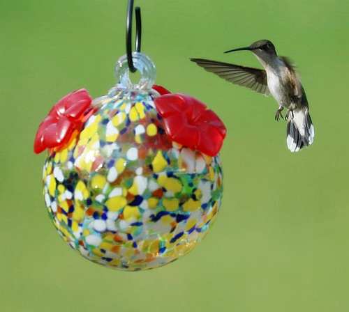 Blown Glass Hummingbird Feeder Multicolored