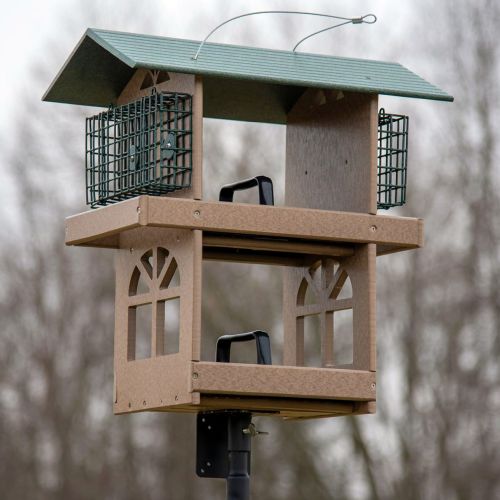 Recycled Poly Double Fly-Through Bird Feeder with Double Suet Cages - Green/Tan
