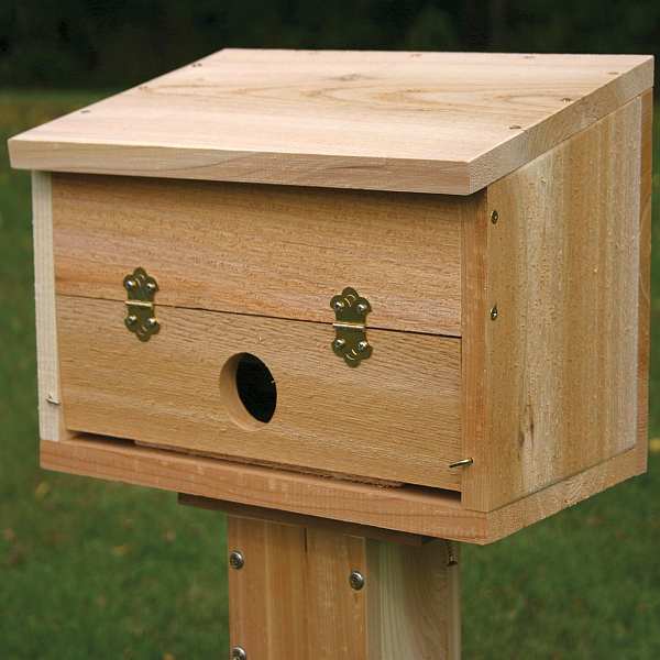 Cedar Select Winter Roosting Box