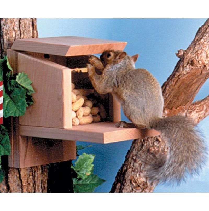 Backyard Squirrel Munch Box