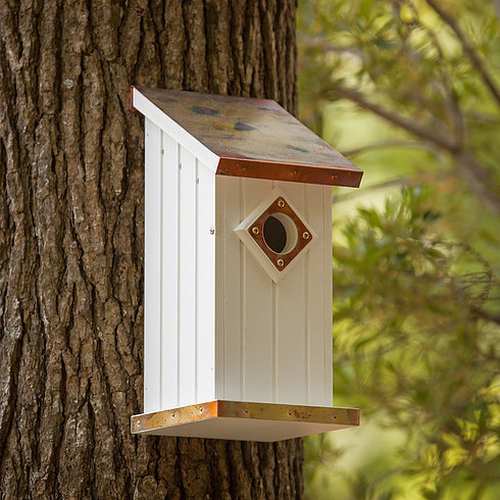 Fancy Copper Top Bluebird House