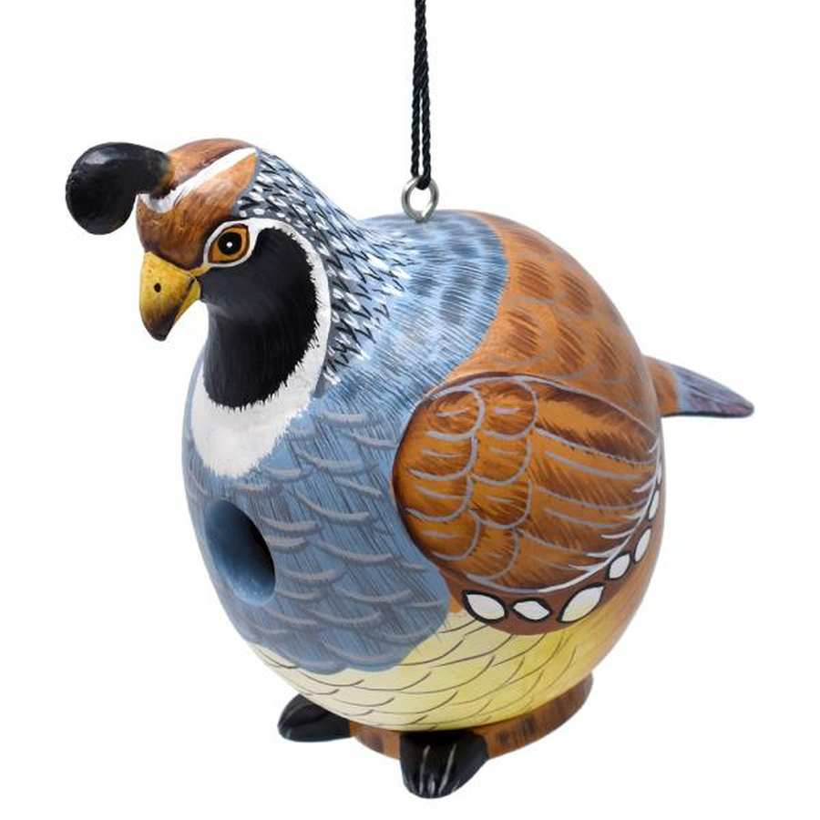 For The Birds Gord-O Quail Bird House