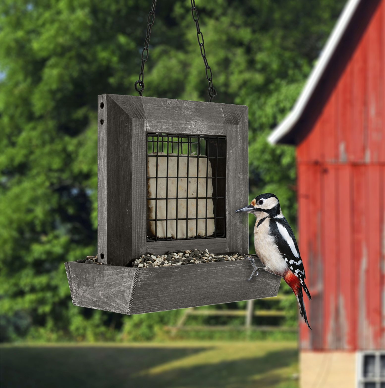 Modern Farmhouse Single Suet Barn Window Feeder