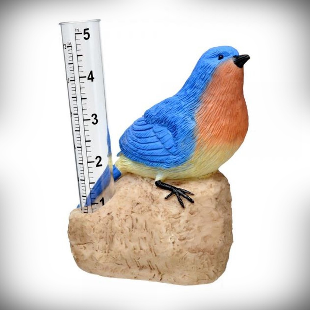 Bluebird Rain Gauge