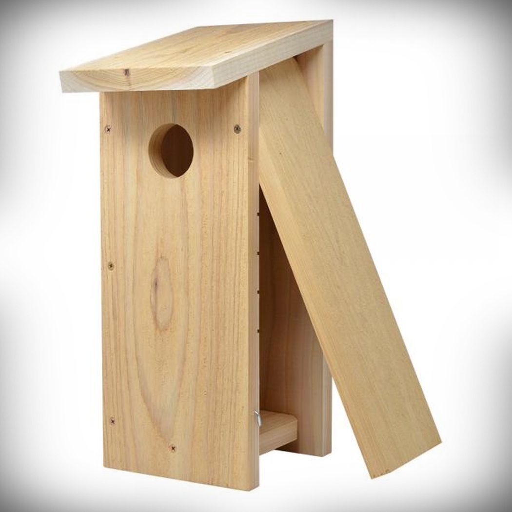 Songbird Cedar Flicker House