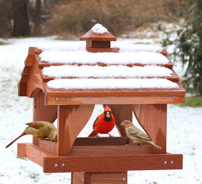 Pavilion Fly-Through Bird Feeder