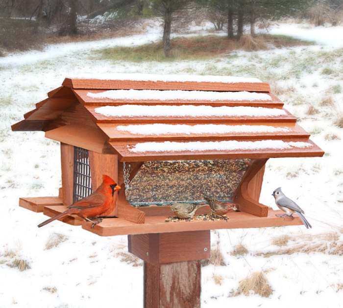 Songbird Super Bird Feeder