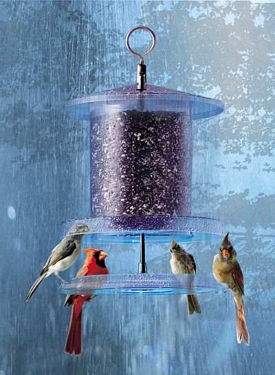 All Weather 4 Quart Weatherproof Bird Feeder