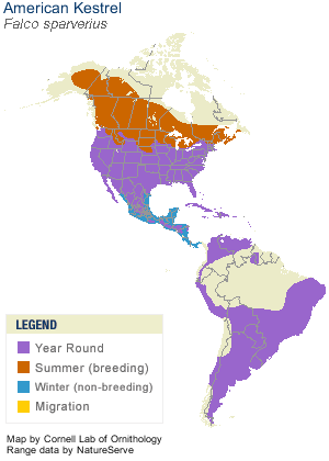 American Kestrel Range Map