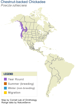 Chestnut-backed Chickadee Range Map