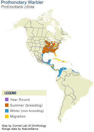 prothonotary warbler range