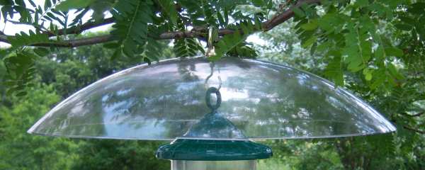 Songbird 20 Inch Hanging Bird Feeder Baffle