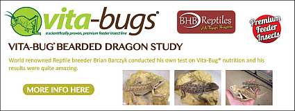 Vita-Bugs Bearded Dragon Study