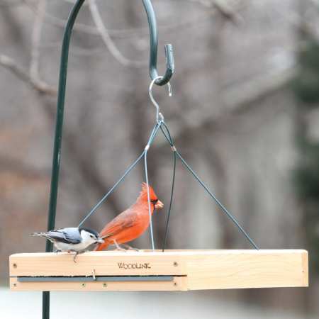 Woodlink Audubon 3-in-1 Platform Bird Feeder